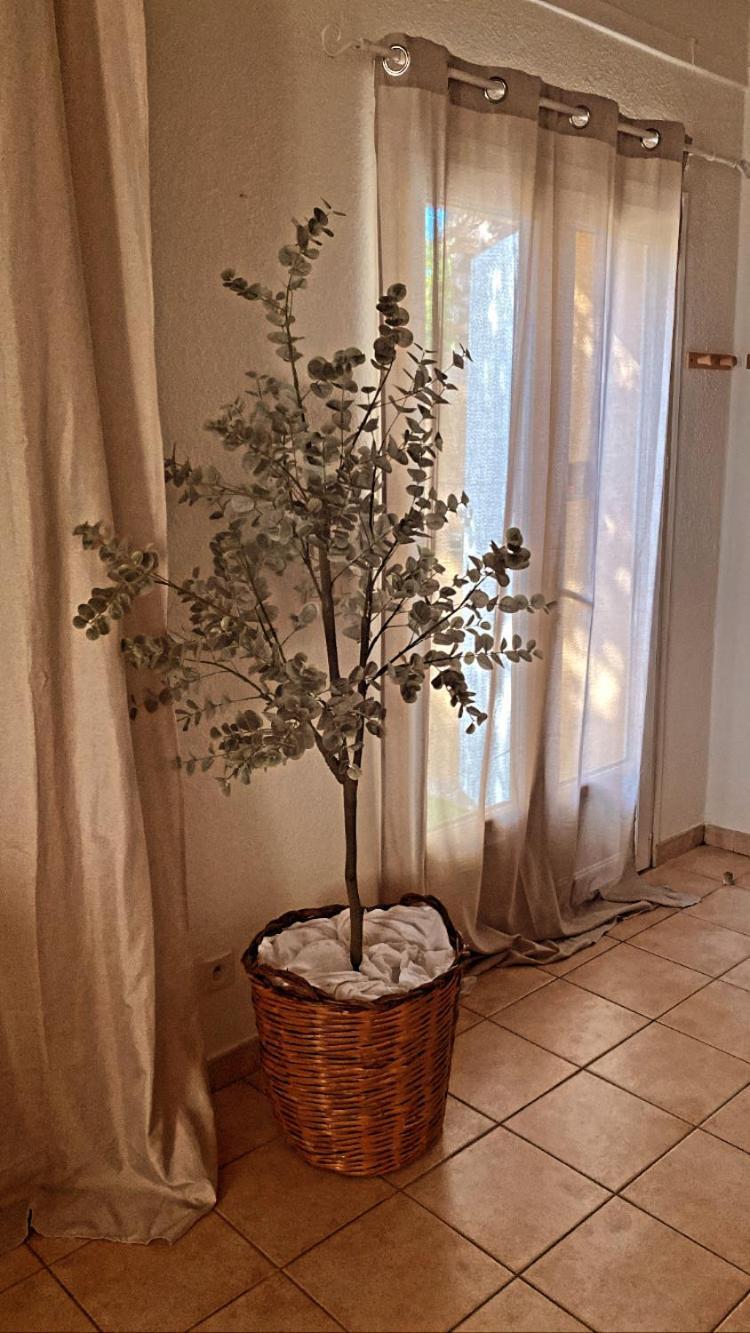 Le Mas Du Bosc Apartment Mauguio Ngoại thất bức ảnh